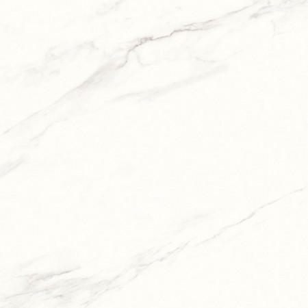 Calacatta Superb  60x60 белый матовый