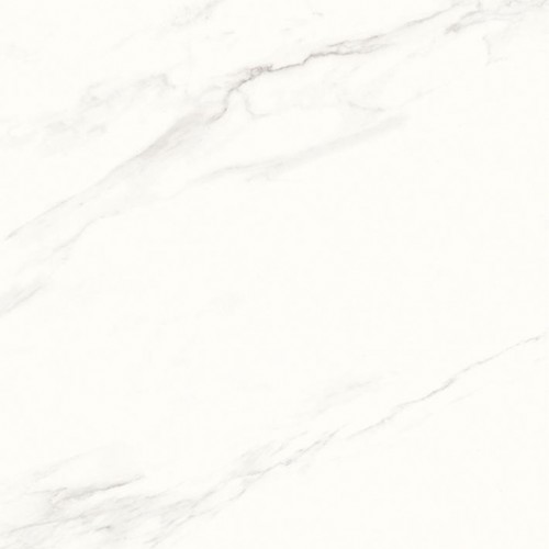 Calacatta Superb  60x60 белый матовый